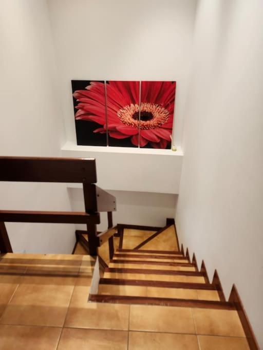 Duplex Rua Sol - Netflix Apartment Laxe Bagian luar foto